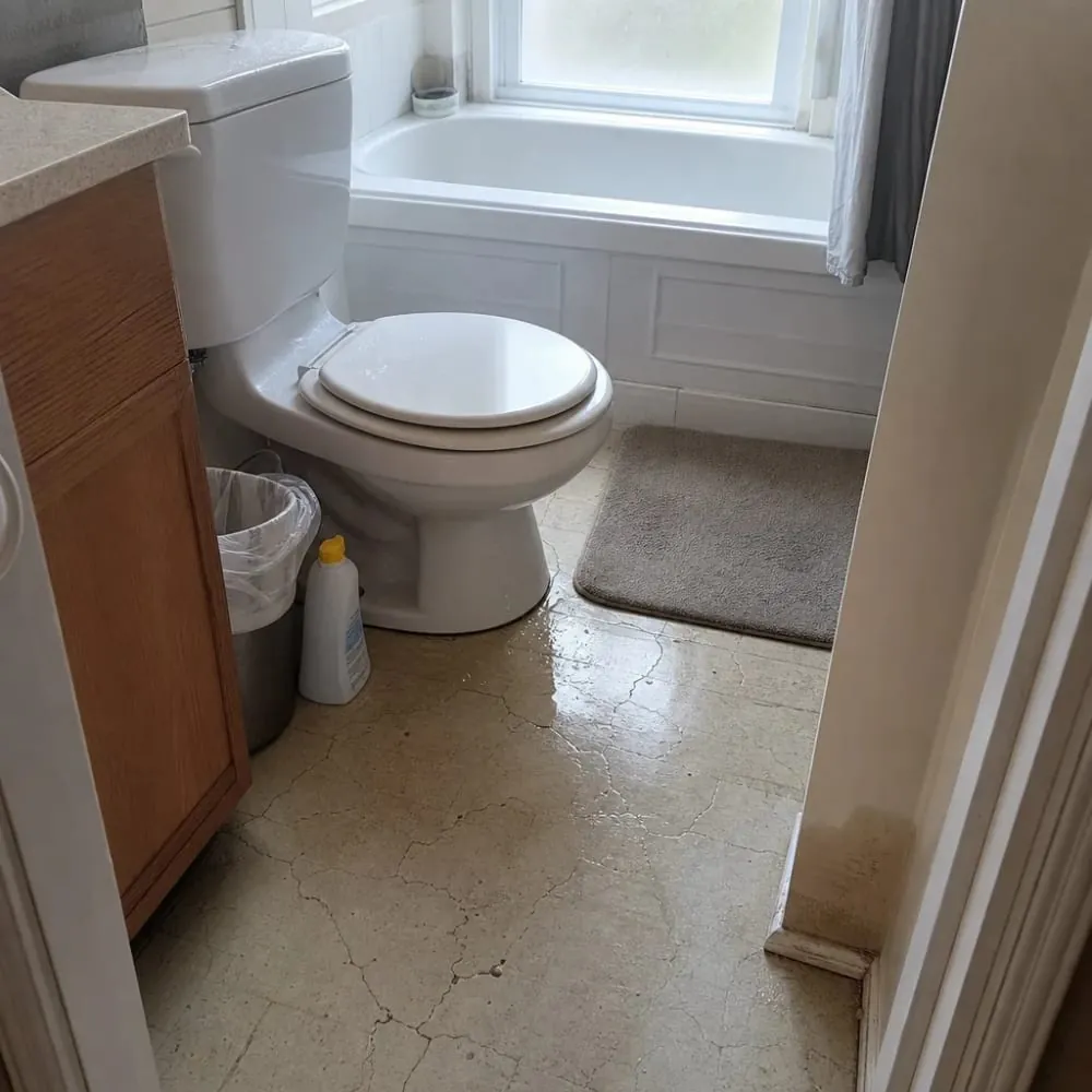 Homeowner notices toilet leak needing plumbing fixture installation