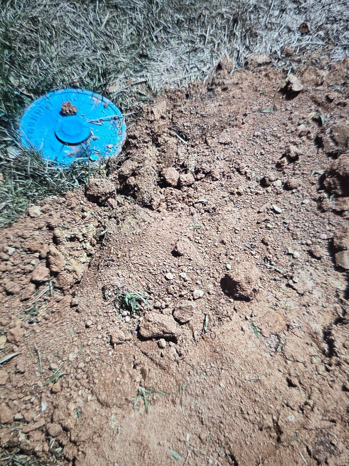 Plumber in Evansville, IN — water service meter box set in a freshly backfilled lawn